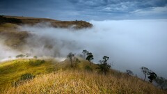 landscape mist nature