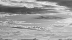 landscape monochrome sky clouds Trees nature national geographic