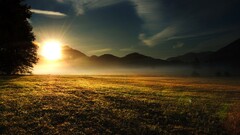 landscape morning grass field nature mist sunset Mountains Trees