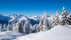 landscape Mountains snow forest winter Trees