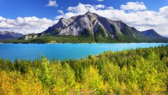 landscape Mountains Trees nature