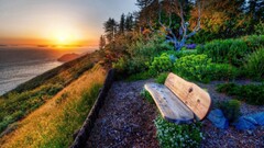 landscape nature bench Plants sunlight
