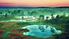 landscape nature Estonia