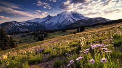 landscape nature Flowers Mountains sky