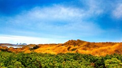 landscape nature Green blue sky Plants