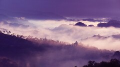 landscape nature mist