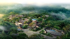 landscape nature Plants