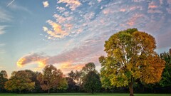 landscape nature sky clouds Trees