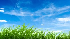 landscape nature sky grass