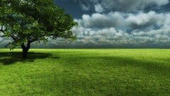 landscape nature sky grass clouds Plants field Trees outdoors
