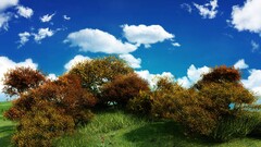 landscape nature sky Plants clouds