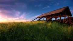 landscape nature sky sunlight grass Plants
