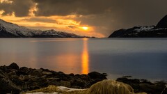 landscape nature sunlight sunset