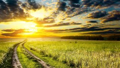 landscape nature sunset path clouds grass dirt road