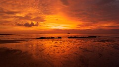 landscape nature sunset Sea beach clouds sky sunlight