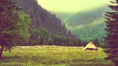 landscape nature Trees clouds Mountains