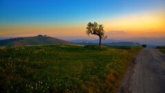 landscape nature Trees sky Italy