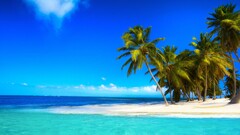 landscape nature tropical palm trees Sea