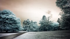 landscape Park snow winter overcast