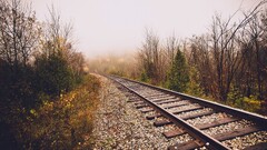 landscape railway Trees fall mist