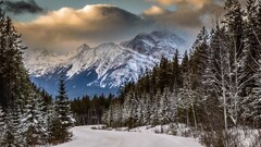 landscape road forest Mountains nature