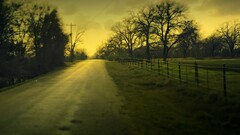 landscape road nature