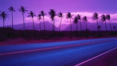 landscape road palm trees