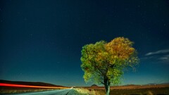 landscape road sky Trees night