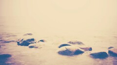 landscape Sea nature