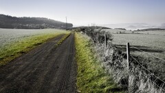 landscape selective coloring dirt road fence