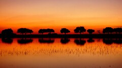 landscape silhouette sunset Trees reflection