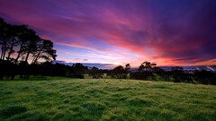landscape sky evening clouds nature Plants outdoors