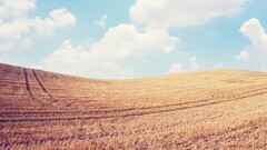 landscape sky field clouds