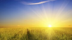 landscape sky field sunlight