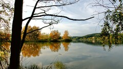 landscape sky nature forest river reflection water Trees Lake