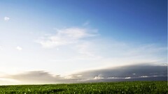 landscape sky Plants clouds