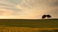 landscape sky sunlight