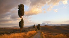 landscape sky Trees clouds