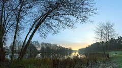 landscape sky Trees nature