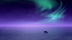 landscape snow horizon Animals ice aurorae artwork