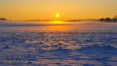 landscape snow sun mist nature sunlight