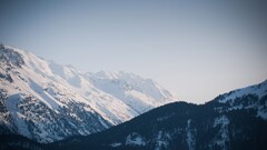 landscape snow Trees sky
