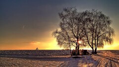 landscape snow Trees winter bicycle sunlight