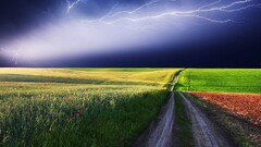 landscape storm field sky dirt road digital art Plants outdoors