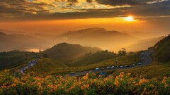 landscape sunlight road Flowers nature