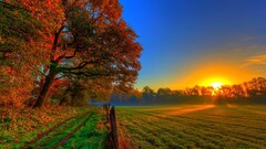 landscape sunset fall sunlight field Trees nature