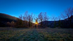 landscape sunset grass Trees sunlight nature