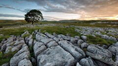 landscape Trees clouds sky rocks