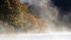 landscape Trees mist nature fall Lake sunlight