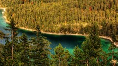 landscape Trees river nature forest